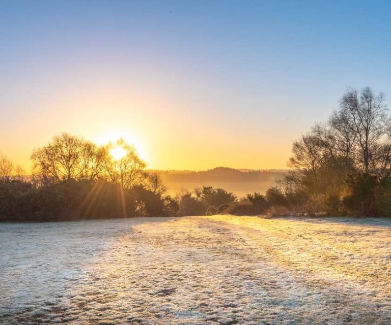 Frosty morning landscape with sunlight casting a warm glow in Calmore.