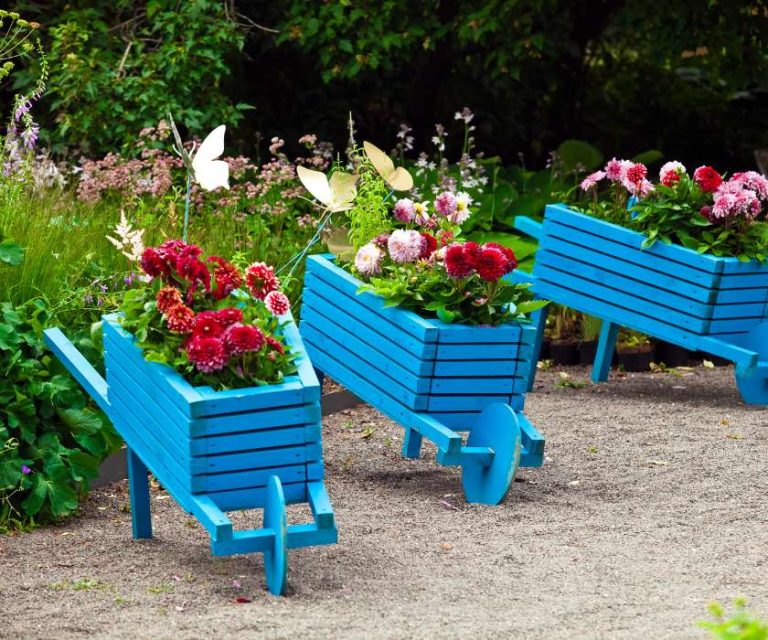 Bright blue wheelbarrow-style planters filled with colourful flowers and decorative butterflies in a garden in New Milton.