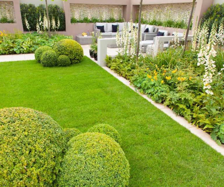 Well-manicured modern garden in St Leonards with green lawn, shaped shrubs, and an outdoor seating area.