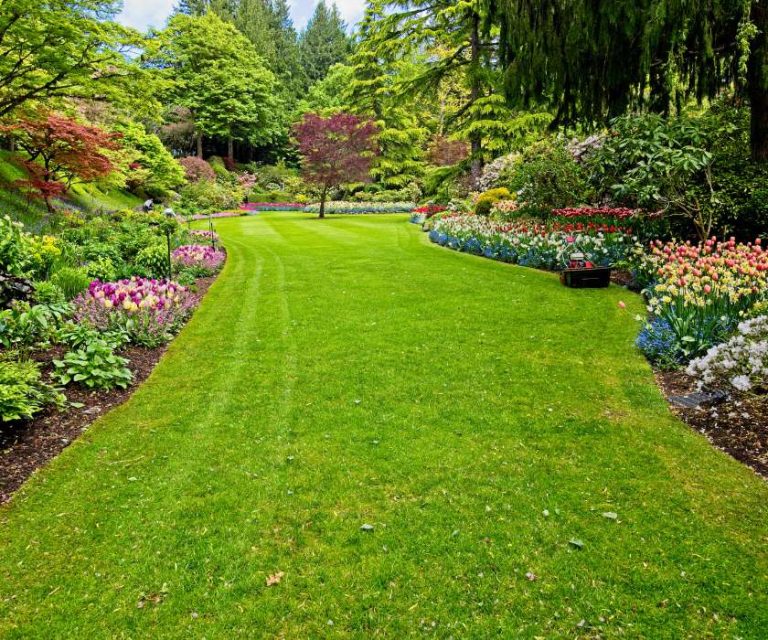 Beautifully maintained flower garden in Totton with a vibrant lawn and a variety of blooming plants.